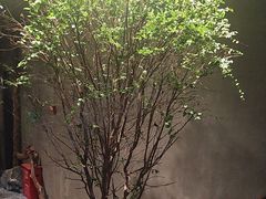 -森SPA·泰式按摩·精油Massage(宝安中心店)