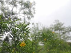-广州雕塑公园