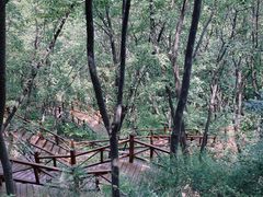 -大岭沟猕猴桃谷风景区