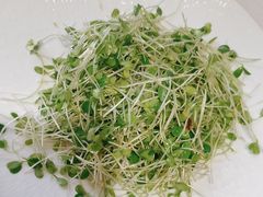 -潇湘府•湘菜领军品牌(望京店)