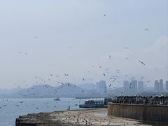 -星海广场