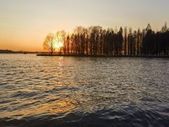 -溱湖国家湿地公园