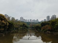 -龙头寺公园