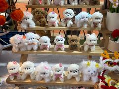 -西安电影制片厂