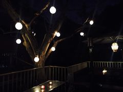 -Ginger(兴国路店)