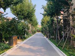 -乐三里屯面馆(阿那亚店)