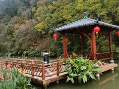 -广州莲花山旅游区
