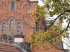 -上海佘山国家森林公园西佘山园