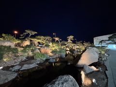 -罗红摄影艺术馆