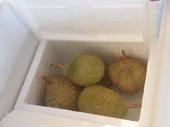 -都念榴莲·城市榴莲