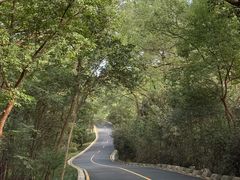 -紫金山山顶公园
