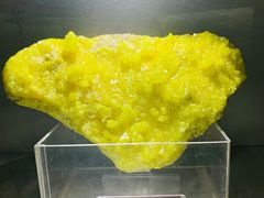 -甘肃地质博物馆