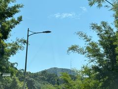 -广州市帽峰山景区