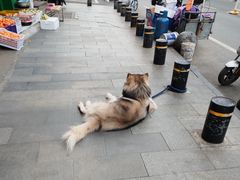 -绝味鸭脖(武昌火车站二店)