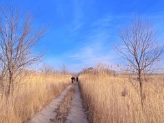 -野鸭湖国家湿地公园