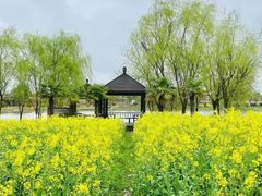 -上膳源有机农场