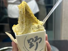-野人先生现做冰淇淋(西安赛格店)