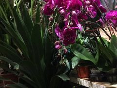 -春暖花开(西溪店)