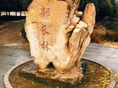 -北坞公园