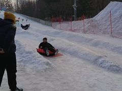 -沈阳奥体冰雪嘉年华