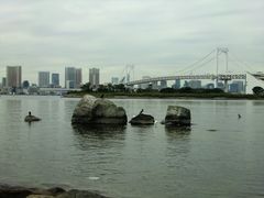 -台场海滨公园船码头