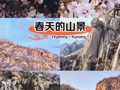 -北京凤凰岭