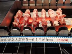 呼伦贝尔羊肉串-很久以前羊肉串(昌里路三钢里店)