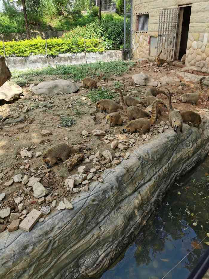 東莞香市動物園