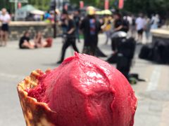 -Patagonia Chocolates(皇后镇店)