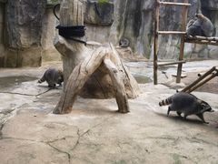 -杭州野生动物世界