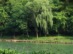 -西溪国家湿地公园