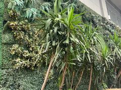 -钟方模白家肥肠粉(春熙店)