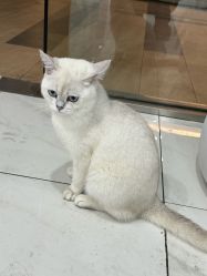 -镁连社·美联社