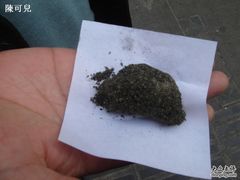 -叶氏麻糍(鼓浪屿店)