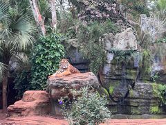 -海南热带野生动植物园