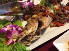 -Daddy Nimman Chiang Mai