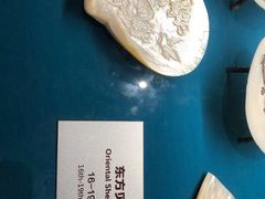 -青岛贝壳博物馆