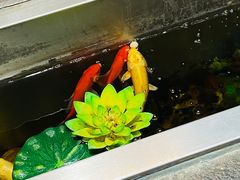 -寻牛记潮汕牛肉火锅(双喜城店)