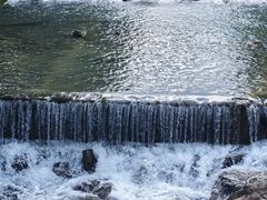 -广州白江湖森林公园