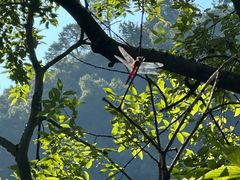 -黔灵山公园