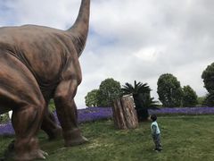 -南通洲际绿博园