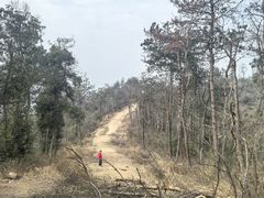 -青龙山国家森林公园