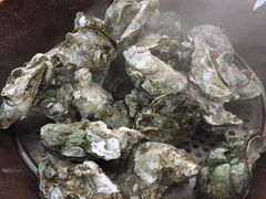 蚝-蚝专家(北滘店)