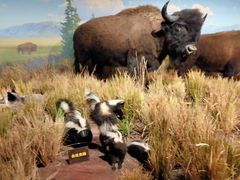 -陕西自然博物馆