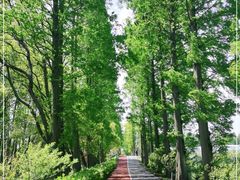 -上海长兴岛郊野公园