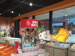 -MARSMART PETS火星宠物超市(1733店)