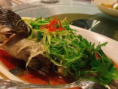 东星斑清蒸-金轩中餐厅 Jin Xuan(浦东丽思卡尔顿酒店)