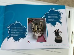 -美联众合动物医院·24h转诊中心
