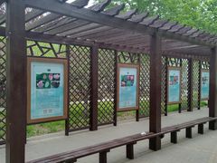 -莲花池公园