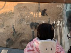 -泉州海丝野生动物世界